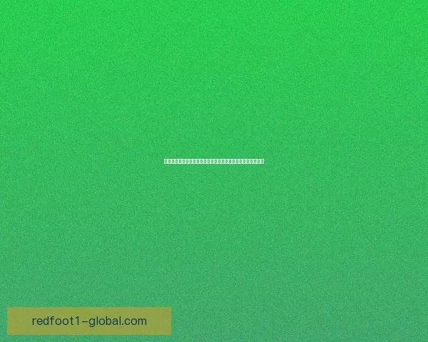 寻找失踪皇女的秘密踪迹揭示宫廷权谋与家族恩怨的惊天大谜团